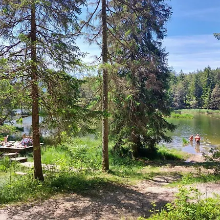 Fortwo * 洛伊塔施